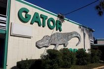 Gator Lodge Jacksonville Kültér fotó